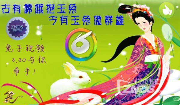 玉兔 捣药 铅笔 画 玉兔 奔月 的 铅笔 画 荡 秋千 的 ...