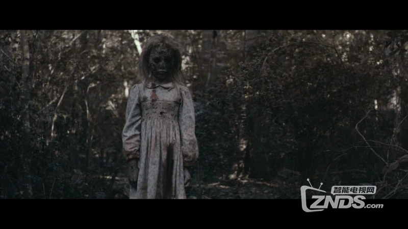 2015阿诺·施瓦辛格\/恐怖《丧家之女》高清7