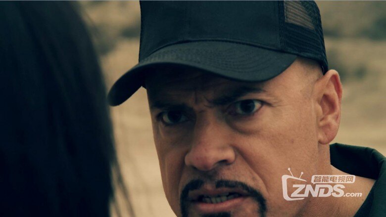 新片2015美国动作恐怖片《一个完美的假期》