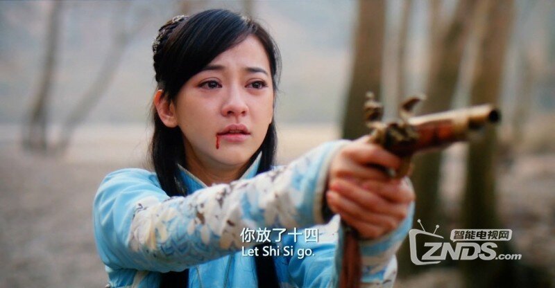 新片2015大陆爱情\/古装《新步步惊心》TC720