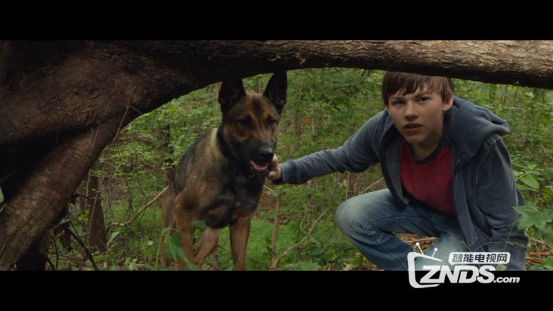 2015美国剧情\/冒险《军犬麦克斯》BD1080+7