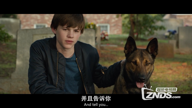 2015美国剧情\/冒险《军犬麦克斯》BD1080+7