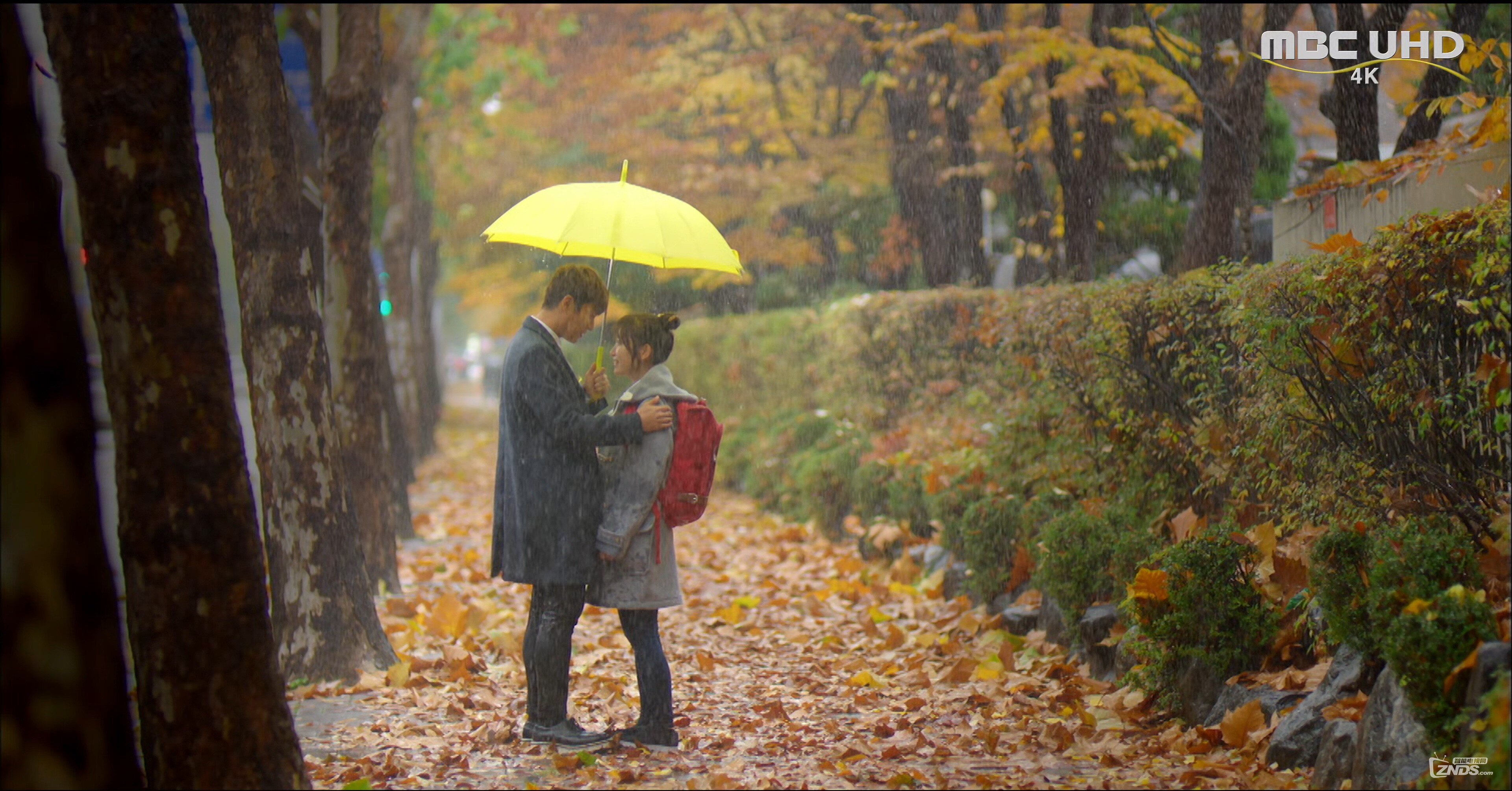 [4K韩剧]扑通扑通LOVE LOVE 2015 第1、2集