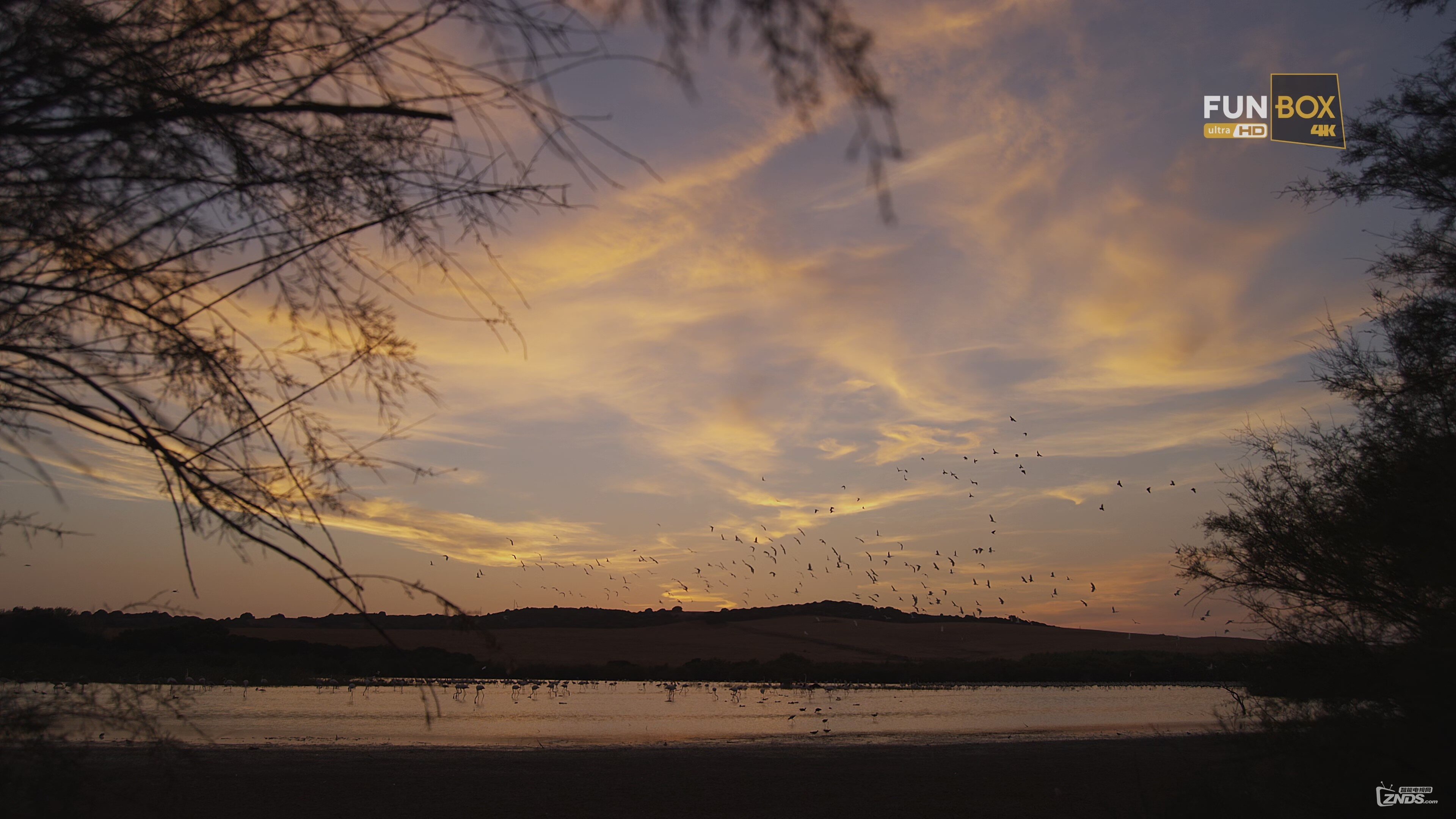[4k̬¼Ƭ] èռ [2160p/mkv/5.73]