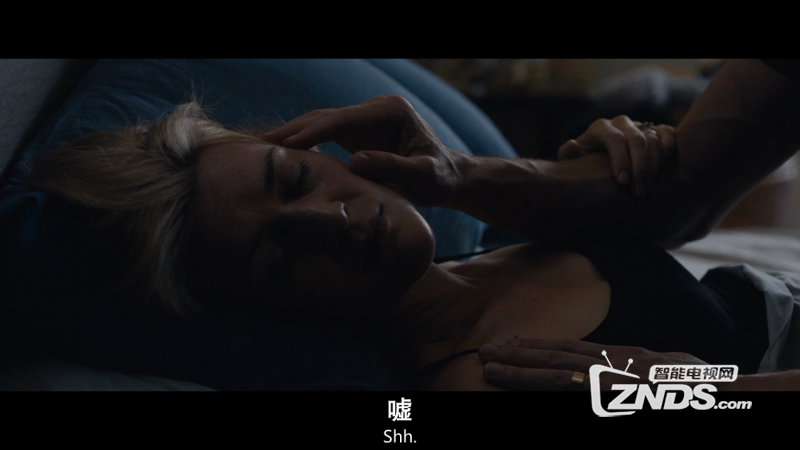 2016澳大利亚悬疑惊悚《回溯》BD1080+720