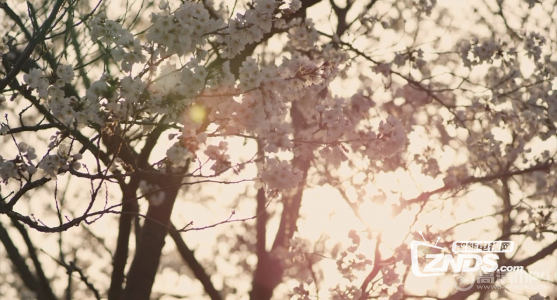 2015日本爱情科幻《橘色奇迹》BD1080+720