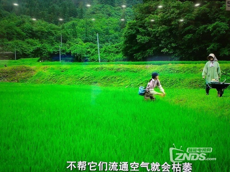 三星索尼75寸电视实地对比,你支持哪家_综合交