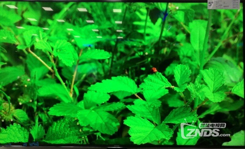 三星索尼75寸电视实地对比,你支持哪家_综合交