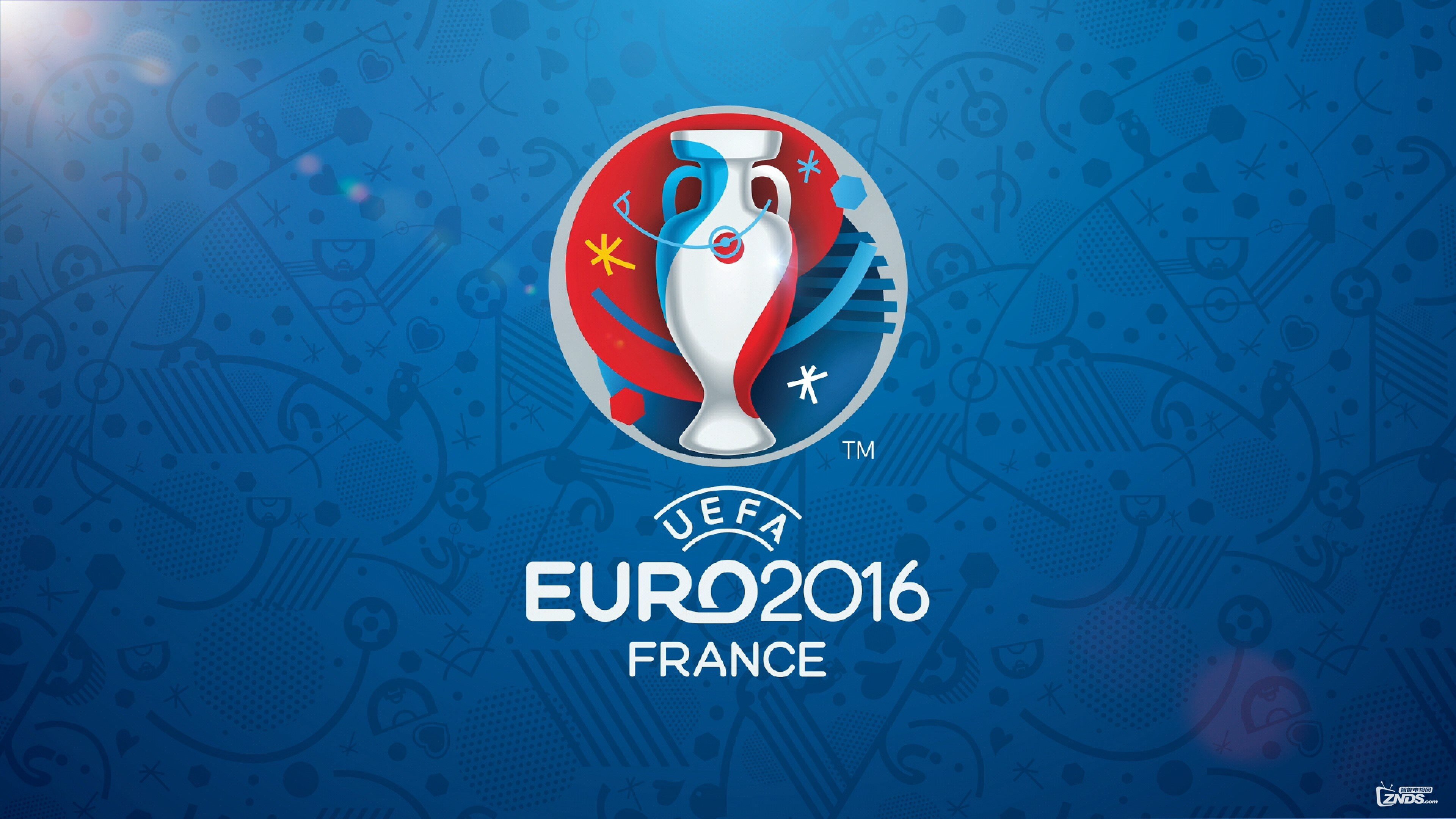 [4K足球赛]2016年法国欧洲杯四分之一决赛(20