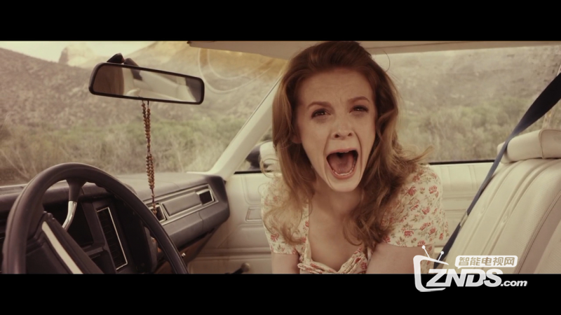 2016美国动作惊悚恐怖犯罪《屠杀公园》HD1