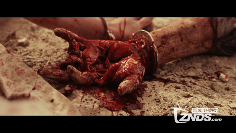 2016美国动作惊悚恐怖犯罪《屠杀公园》HD1