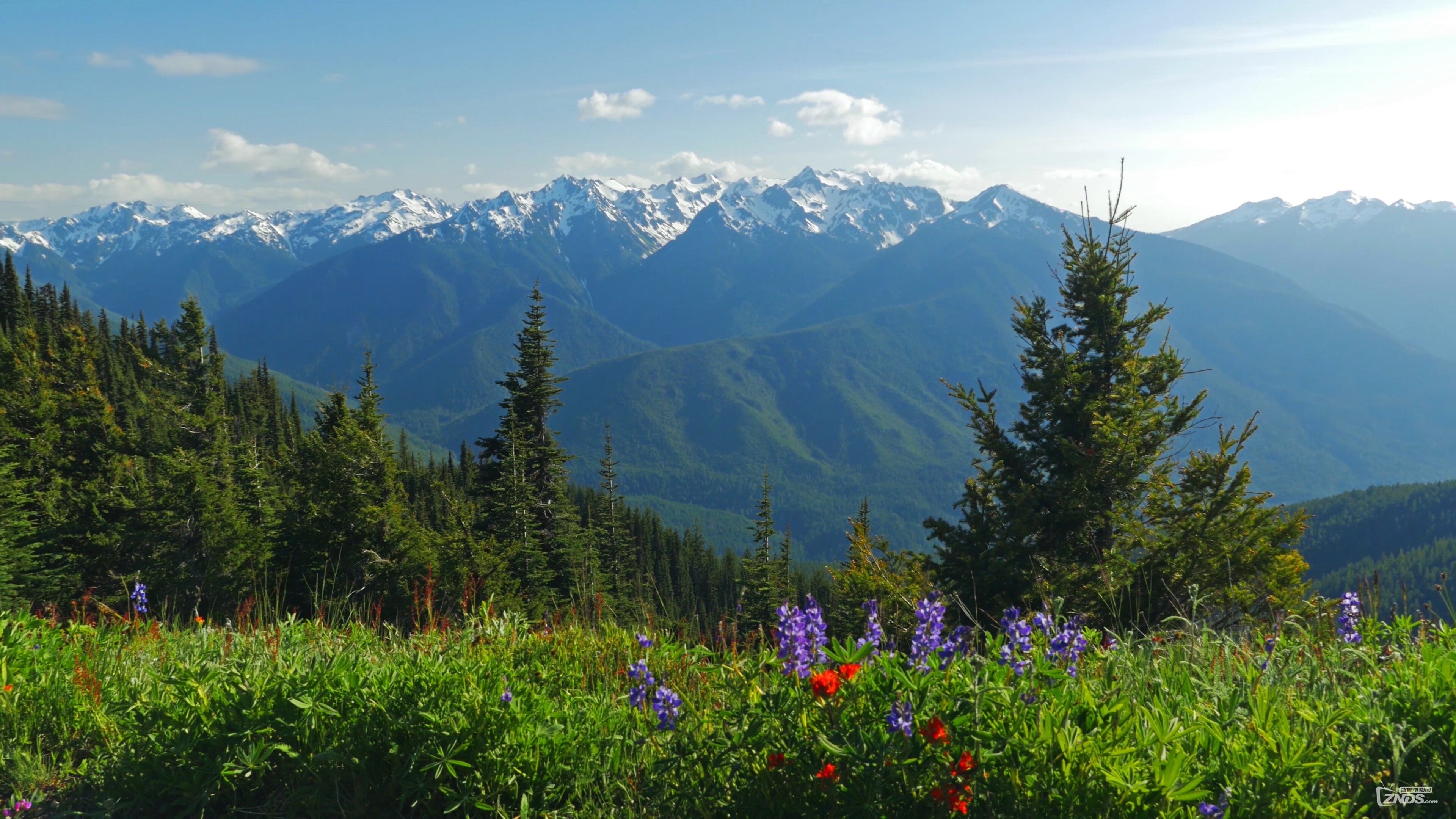 [4K高清纪录片] 美丽的华盛顿 2015 [2160P\/MP