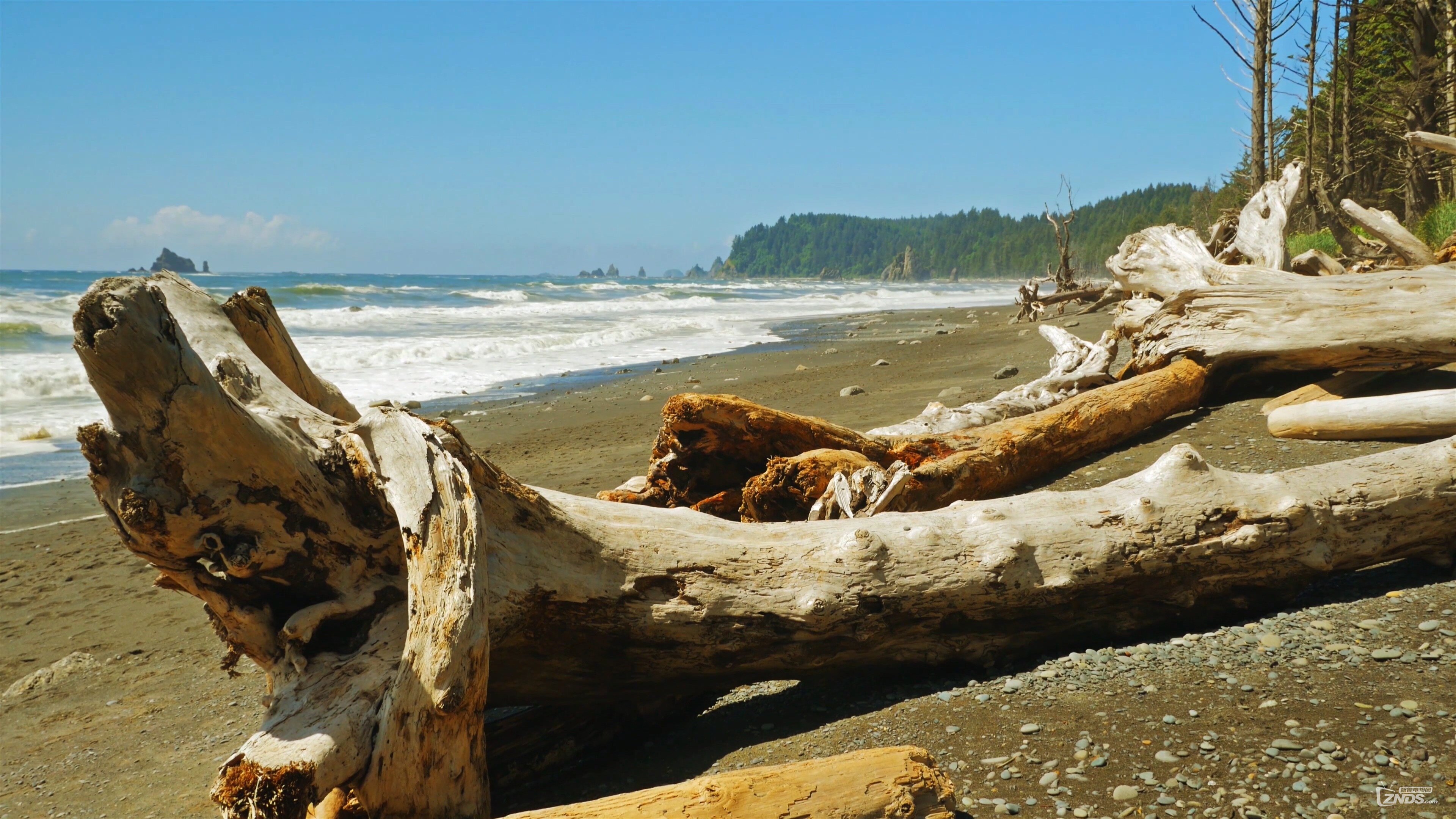 [4K高清纪录片] 美丽的华盛顿 2015 [2160P\/MP