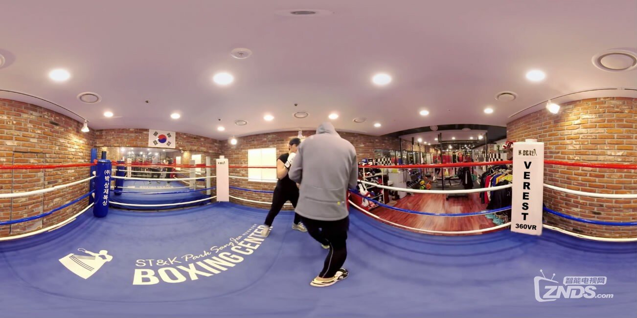 全景视频:专业拳击教学训练视频_VR资源下载