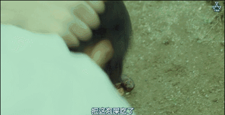 99.9%的人都不会在意的小事,最终让他变成了一个杀人狂魔!