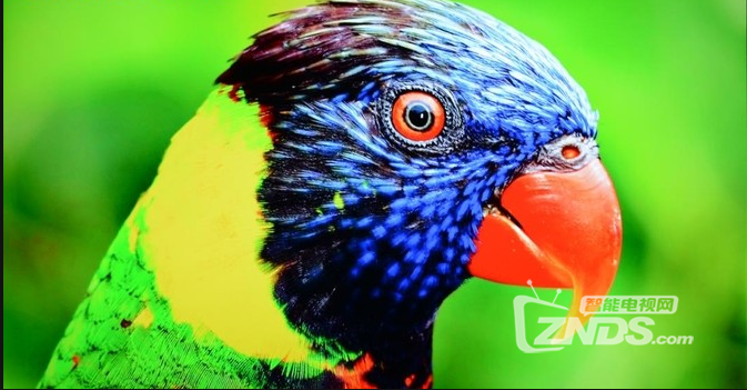 长虹电视60Q3R评测 人工智能体验大不同_长虹