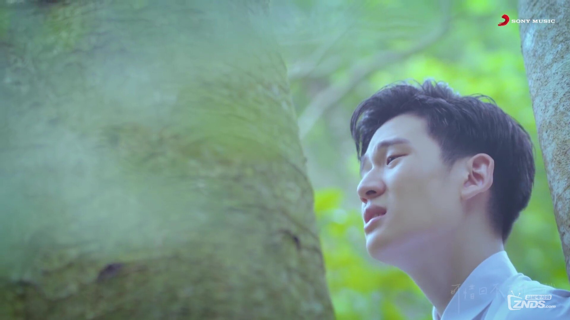 周兴哲-你,好不好[1080P\/MP4\/87M]_高清MV专