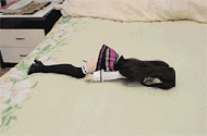 1.gif