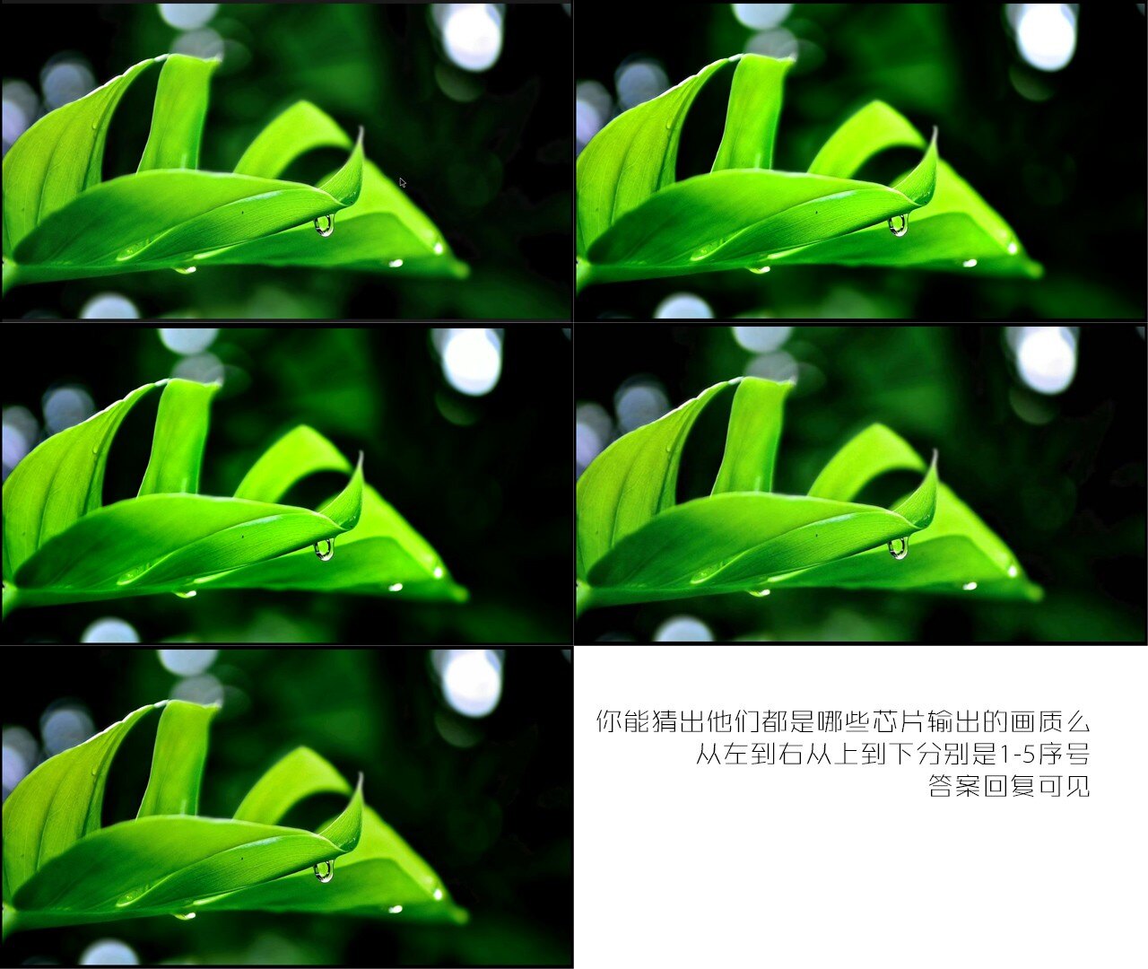 green.jpg