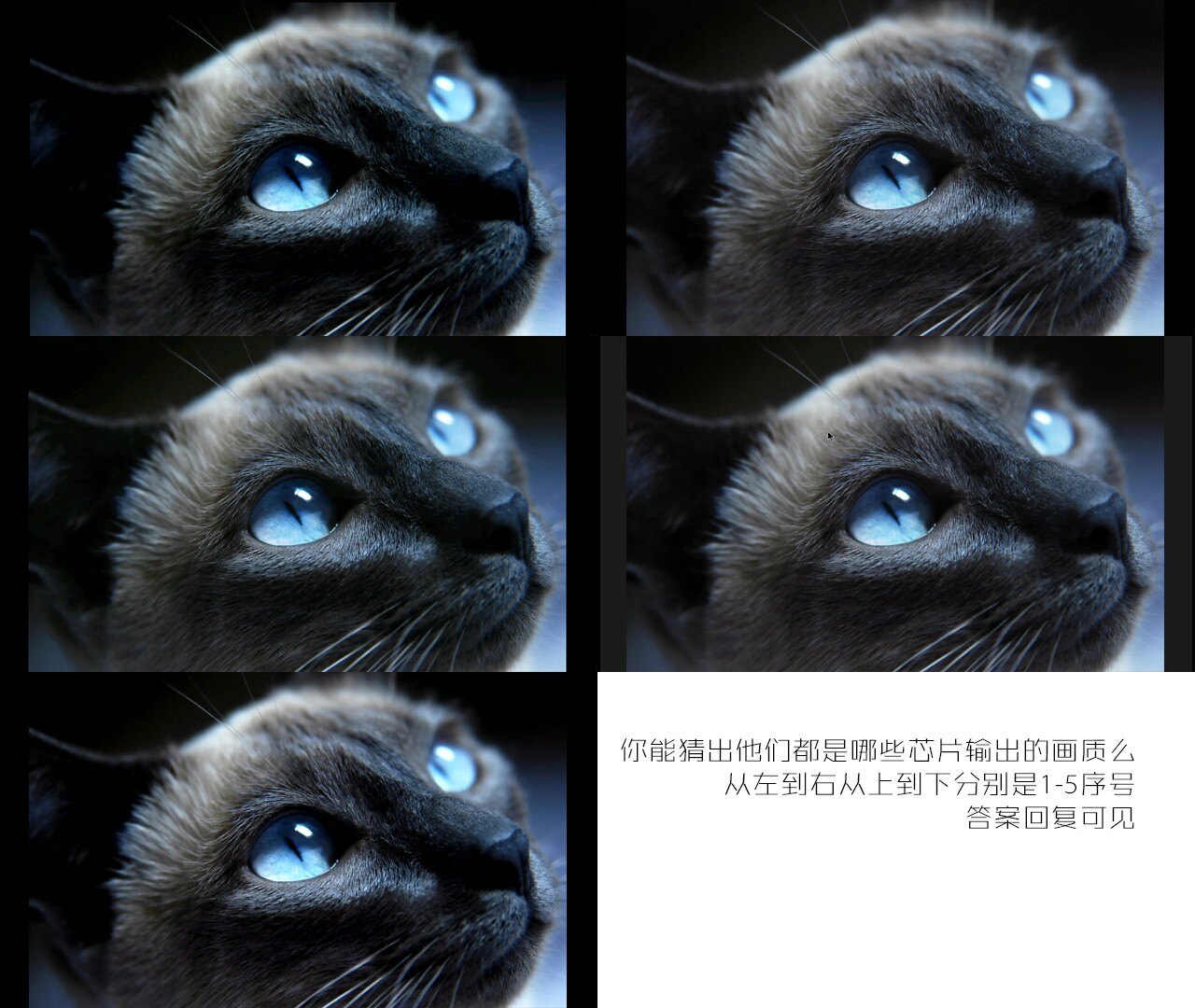 mao.jpg