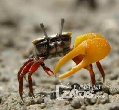 单身3年后。。。