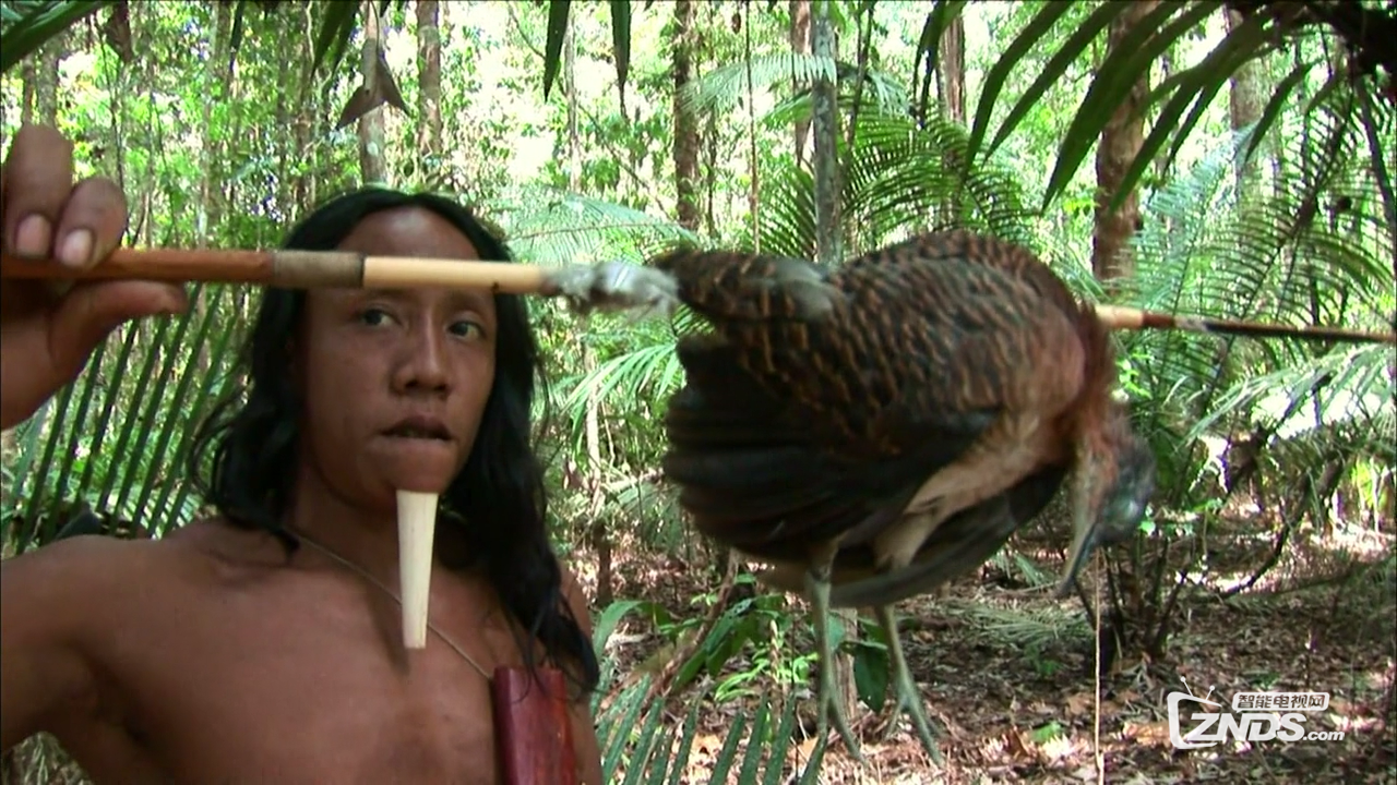 [mbc 亚马逊的眼泪 蓝光版 剧场版无删减][mkv/10gb/简体字幕