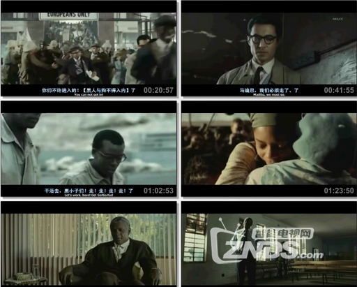 2013南非历史《曼德拉传：漫漫自由路》DVD三国语中文字幕