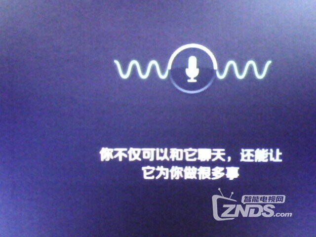 IMG0958A.jpg