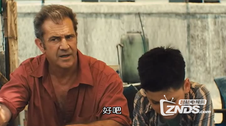 2012美国动作《抓住外国佬》DVD中字