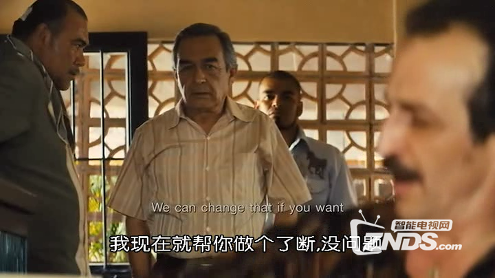 2012美国动作《抓住外国佬》DVD中字
