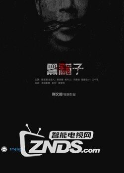 2014国产剧情《黑箱子》BD1280高清中字首发版