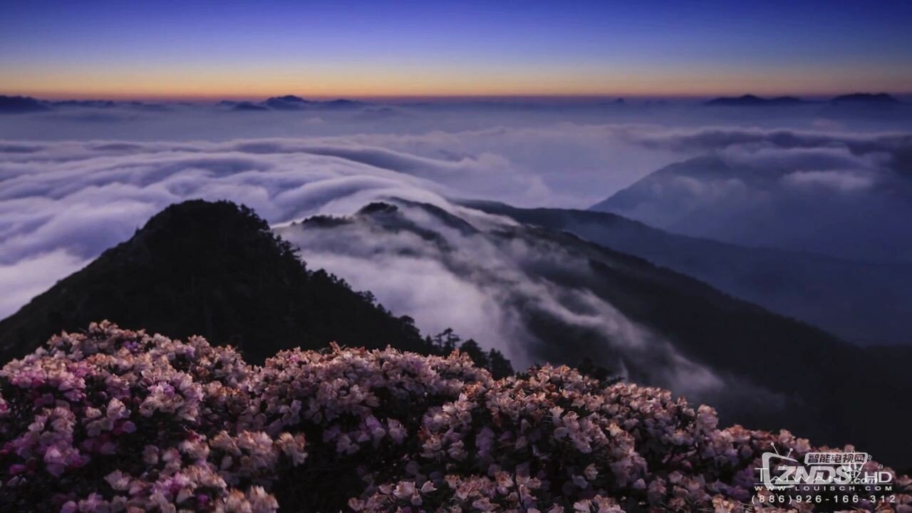 高山杜鹃云海星空-5.JPG