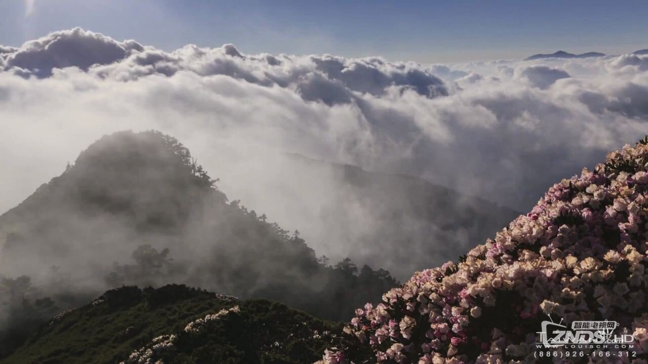 高山杜鹃云海星空-4.JPG