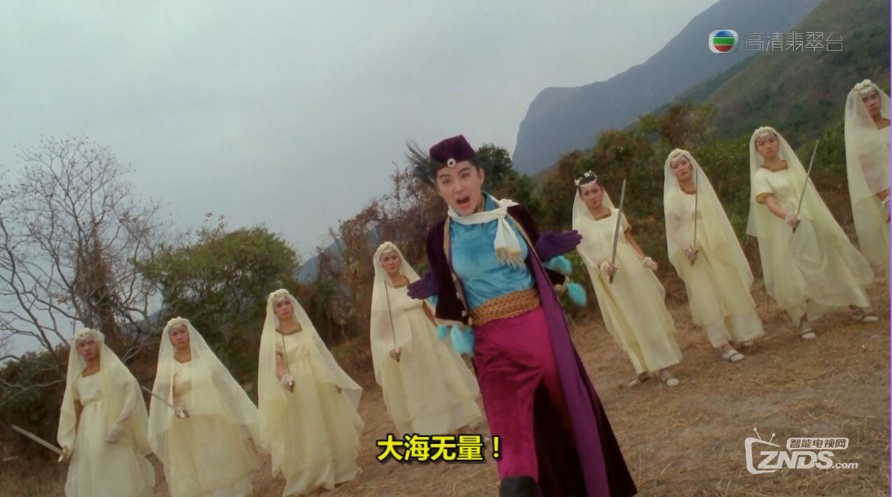 1993年国产喜剧片东成西就720p358g中文字幕