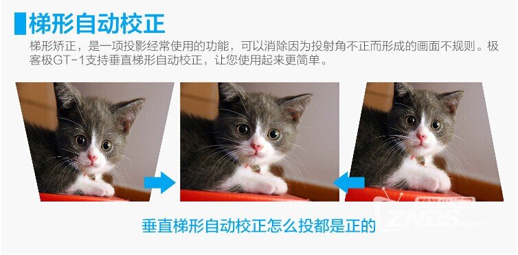 买个投影仪竟送如此惊喜，这是要科普xing知识否