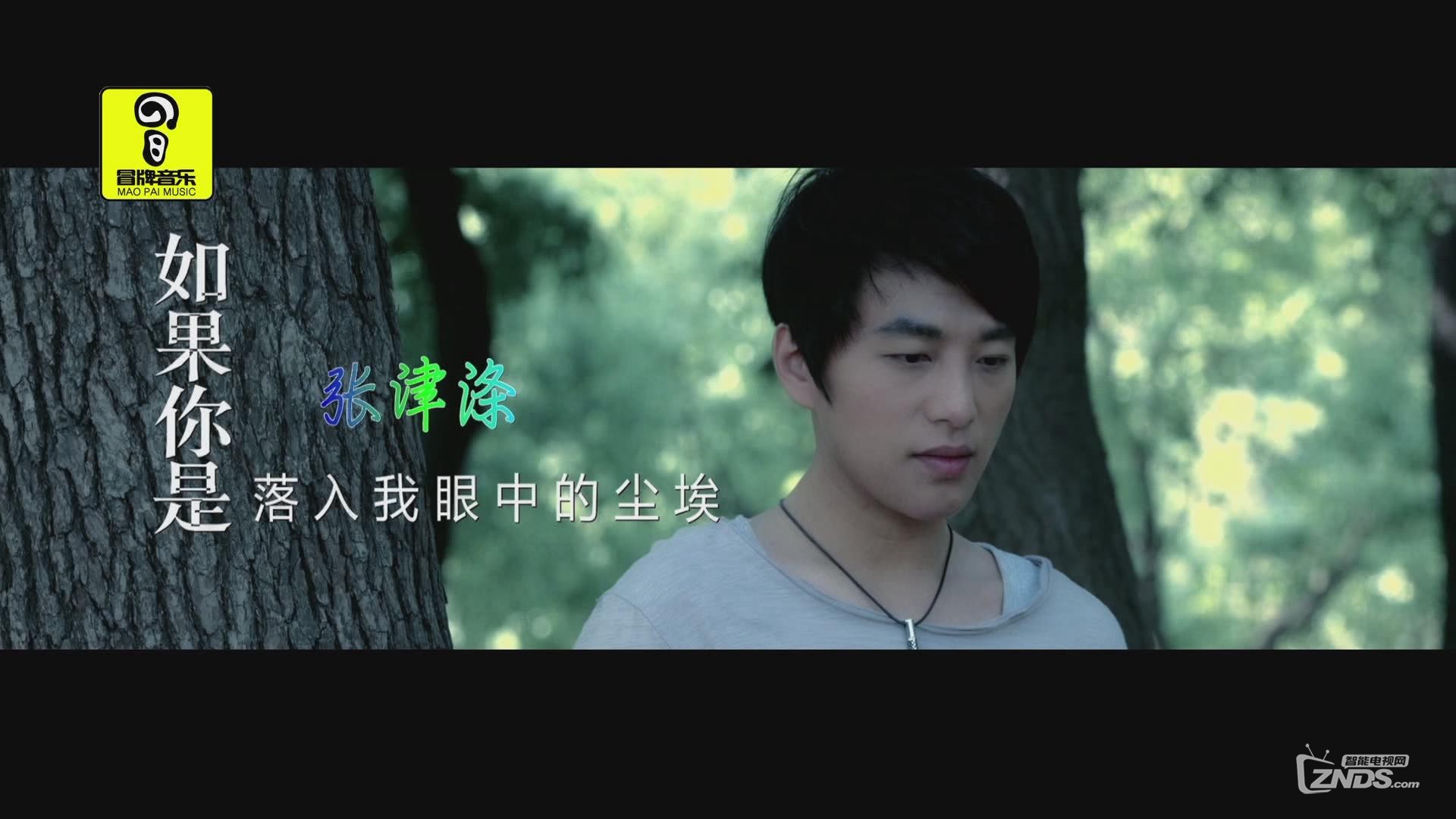 张津涤-如果你是落入我眼中的尘埃(237m/1080p/mpg)_高清mv交流_znds