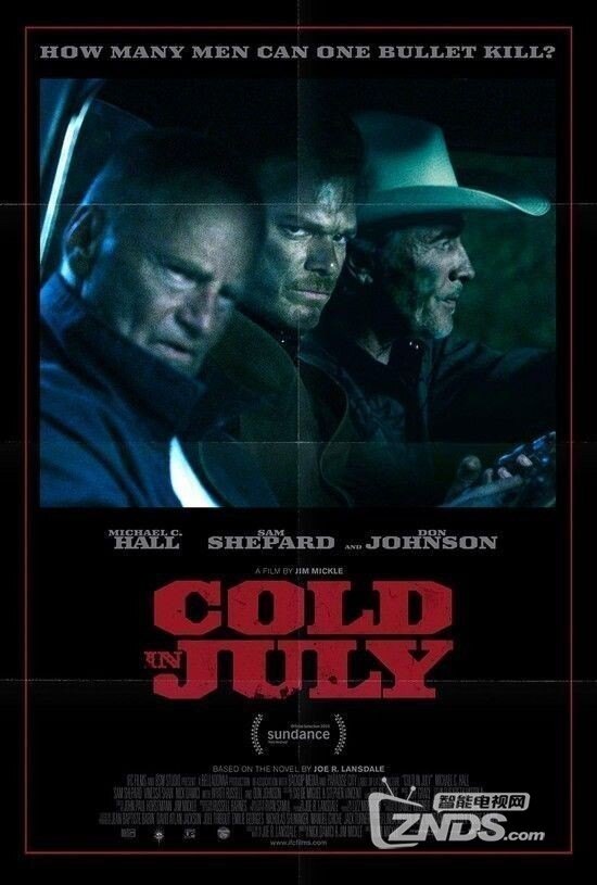 2014美国惊悚《七月寒潮》720p