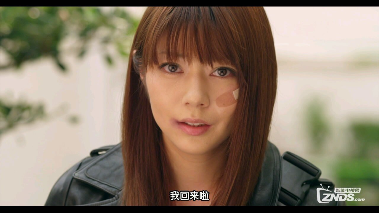 2014日本动作剧情《红X粉》高清蓝光720P版