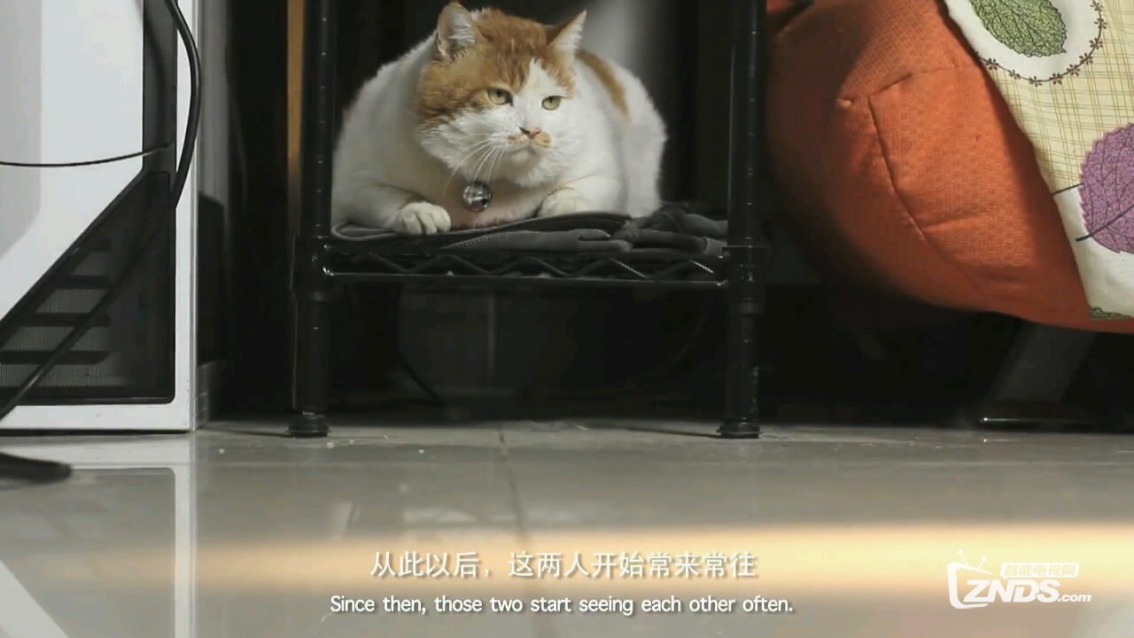 2014国产剧情《胖虎日记》高清1280版HD-RMVB/国语中英双字