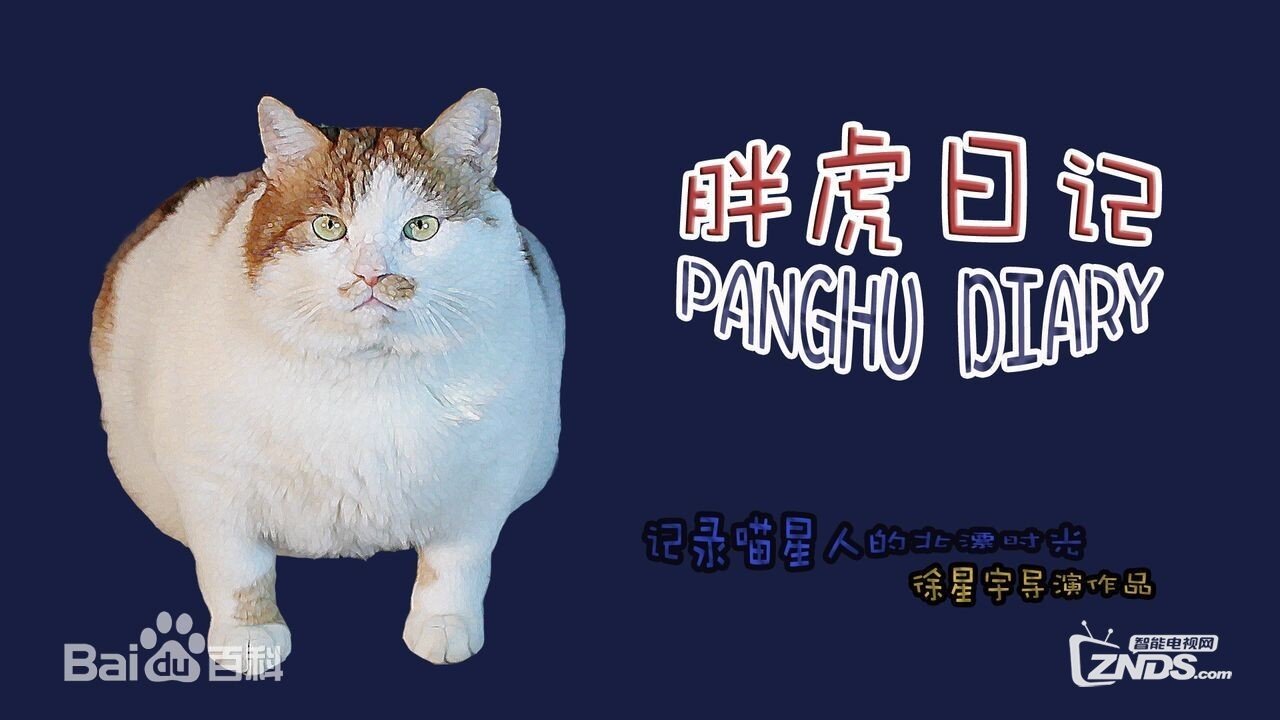 2014国产剧情《胖虎日记》高清1280版HD-RMVB/国语中英双字