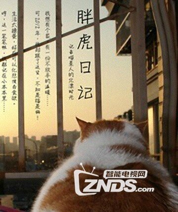 2014国产剧情《胖虎日记》高清1280版HD-RMVB/国语中英双字