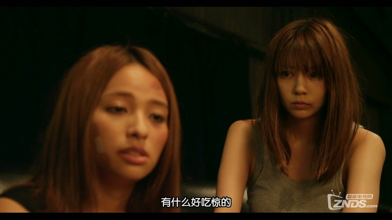 2014日本动作剧情片《红X粉》中文字幕_影音爱好者_ZNDS