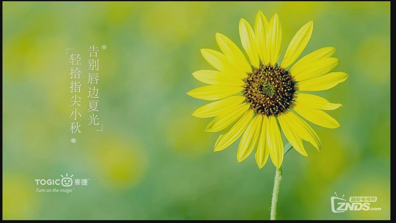 20140819160555.jpg