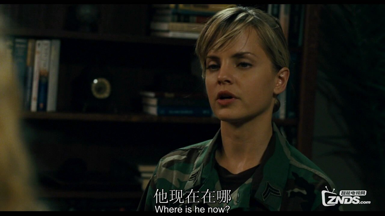 美国恐怖惊悚《新丧尸出笼/新僵尸出笼》高清蓝光