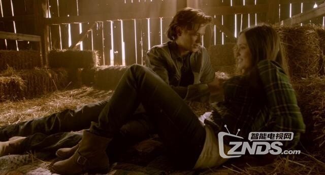 2014欧美恐怖片《狼人镇/狼人》720 2.81GB