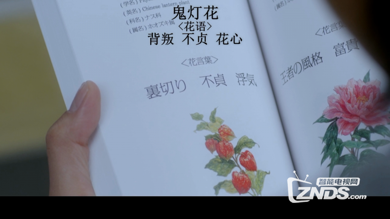 d1454af422ecf1f0s.png