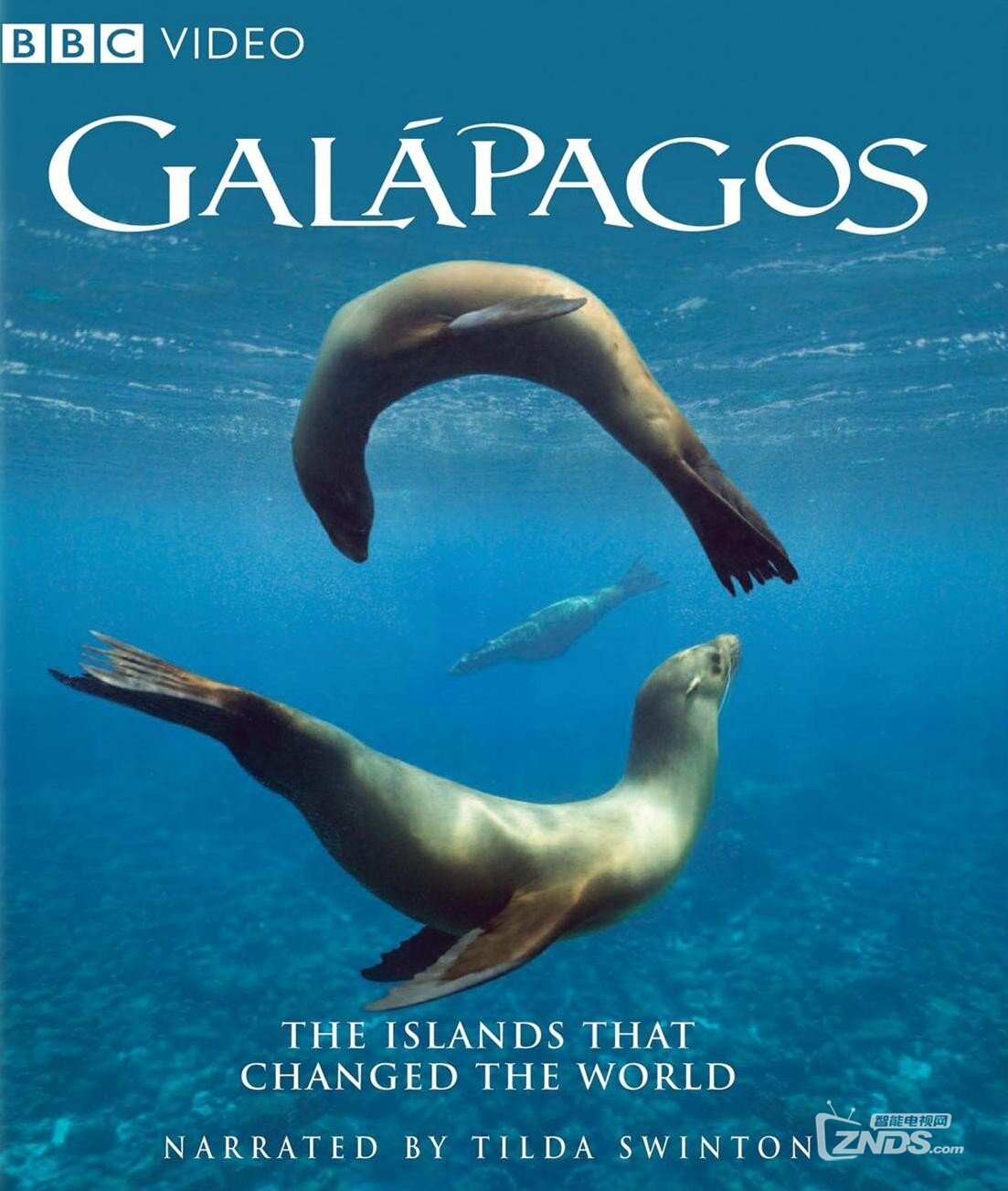 bbc高清纪录片第五辑加拉帕戈斯群岛全3集1080p国粤