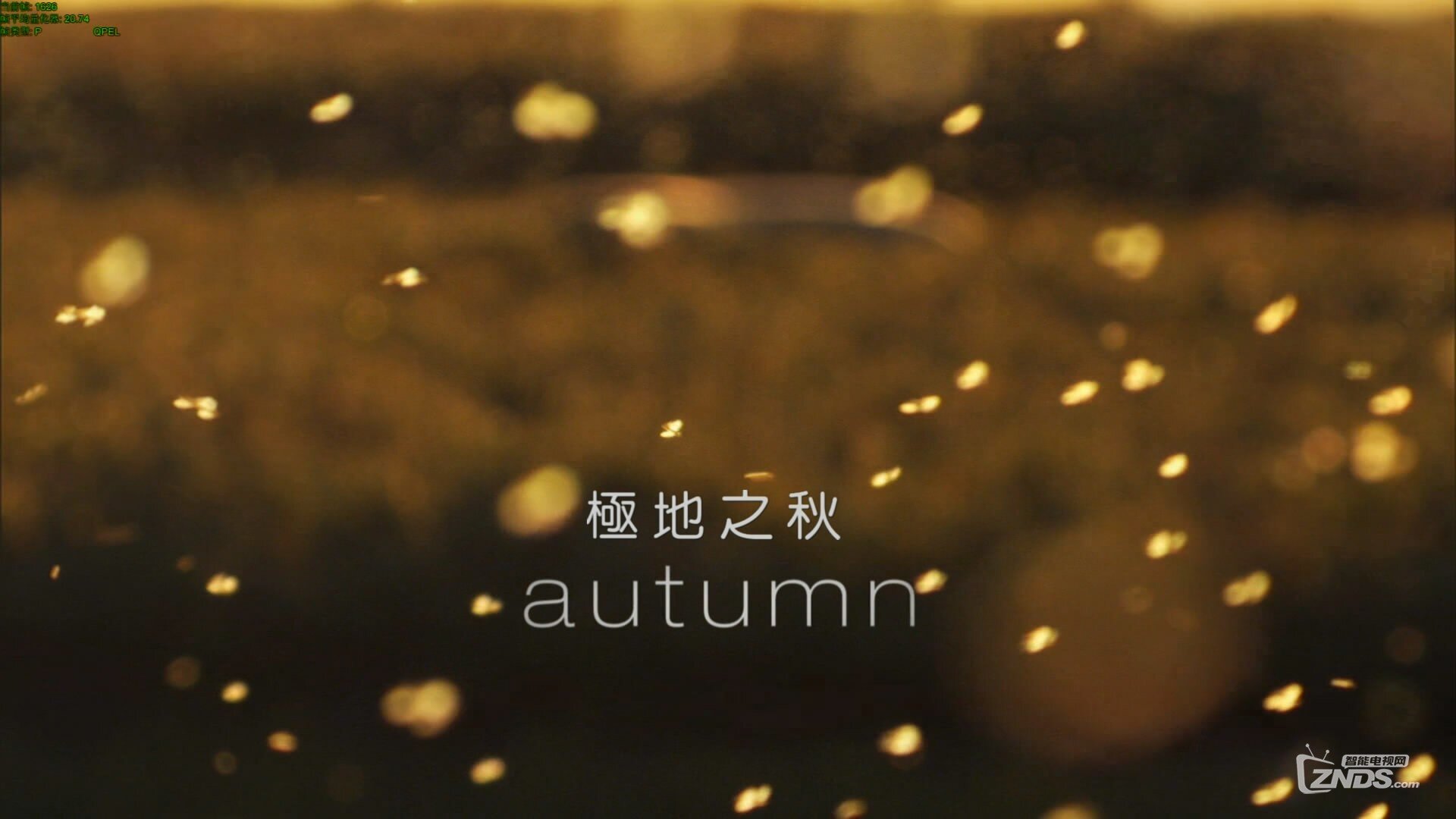 EP04：Autumn 第四集：極地之秋.jpg