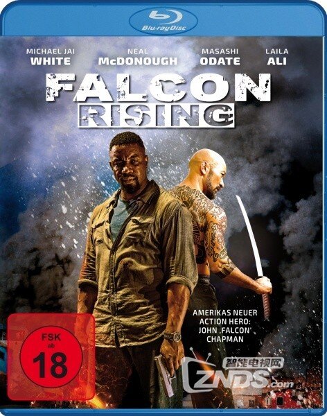 2014德版蓝光原盘《猎鹰突起》1080p 34.22 gb