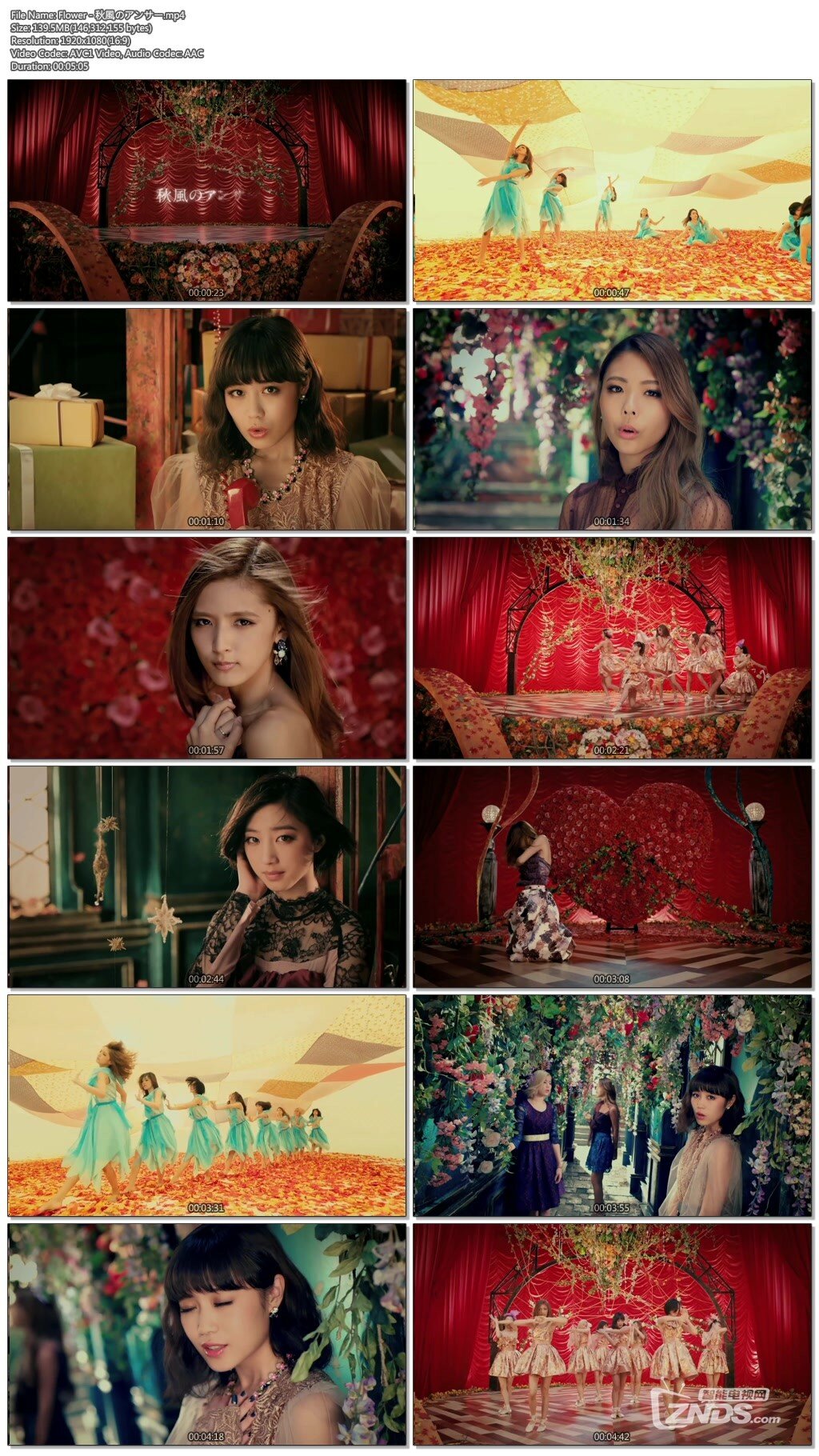 Flower - 秋風(fēng)のアンサー.mp4.jpg